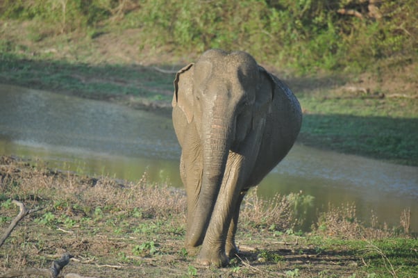 Sri Lanka, Yala Nationalpark