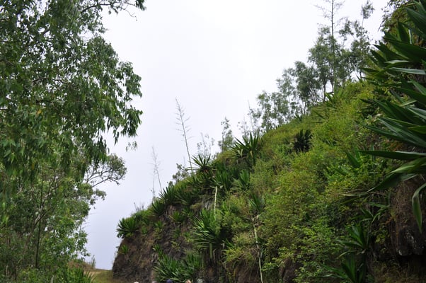 Kap Verden, Insel Santiago, Nationalpark "Serra Malagueta"
