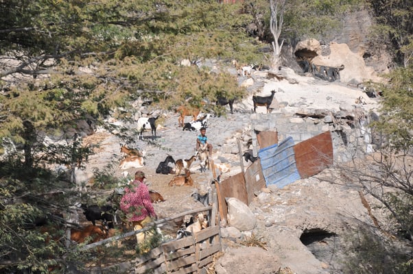 Kap Verden, Insel Santo Antao