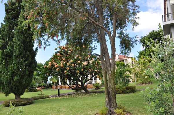 Madeira, Funchal, Villa Quitas das Cruzas, Jardins do Lago