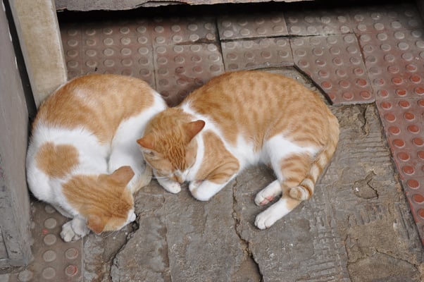 Kap Verden, Insel Sao Vicente, Stadt Mindelo