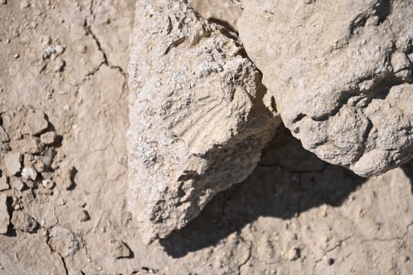 Turkmenistan, Überreste riesiger Korallenriffe aus dem Tetris Meer