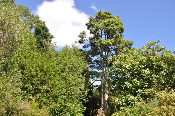 Irland, Garinish Island