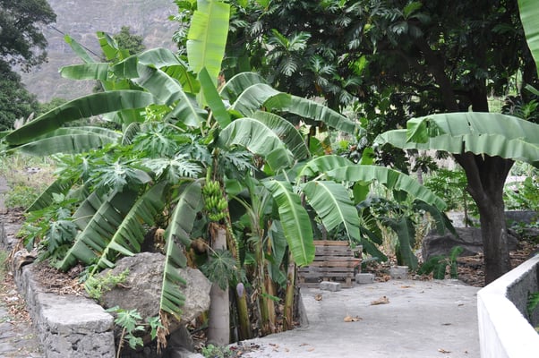 Kap Verden, Insel Santo Antao, Bergdorf Fontainhas