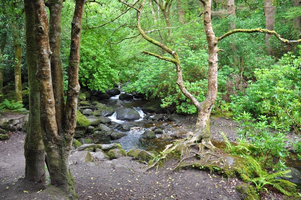 Irland, Torc Wasserfall