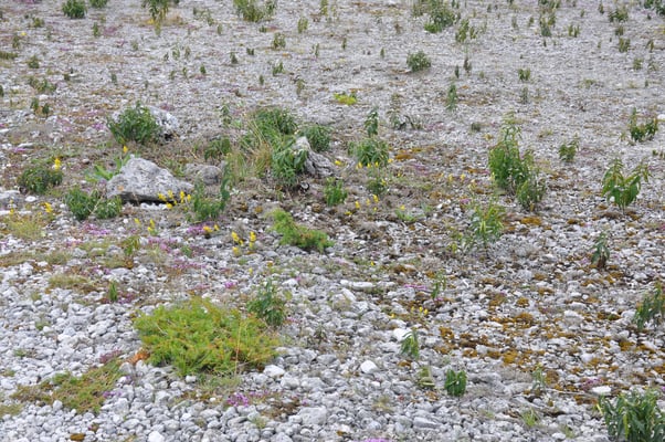 Schweden, Insel Farö, Rauk Gebiete