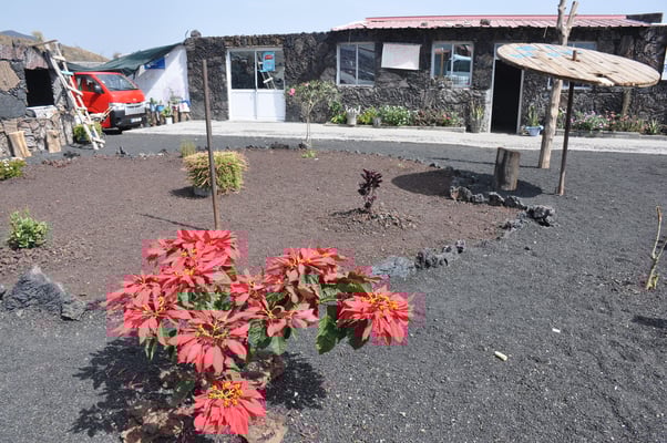 Kap Verden, Insel Fogo, Cha das Caldeiras, Pico Grande