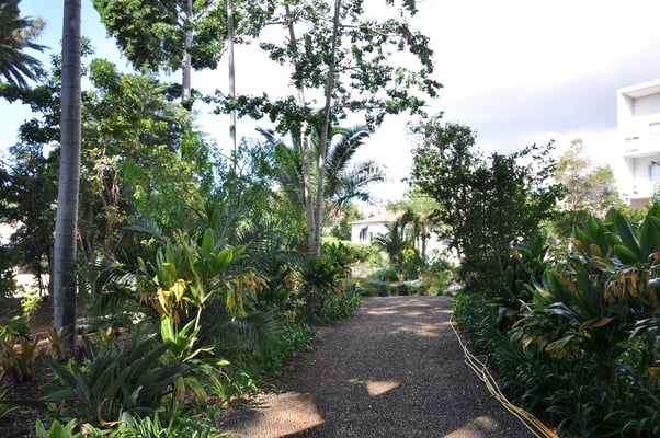 Madeira, Funchal, Villa Quitas das Cruzas, Jardins do Lago