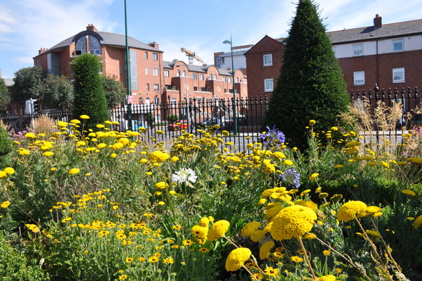 Irland, Dublin, St. Patricks mit Kathedrale
