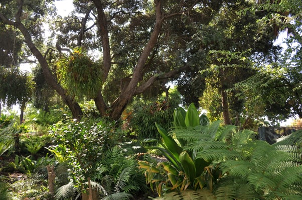 Madeira, Funchal, Villa Quitas das Cruzas, Jardins do Lago