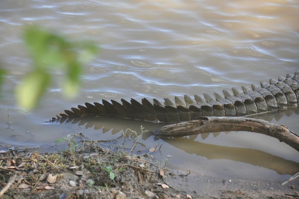 Sri Lanka, Yala Nationalpark