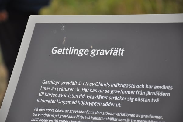 Schweden, Öland, Gräberfeld von Gettlinge