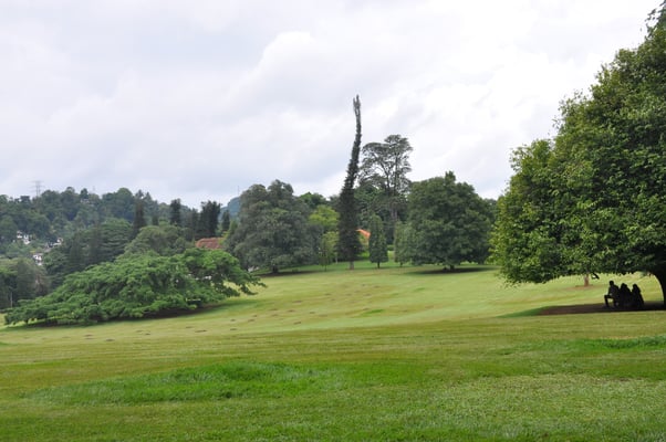 Sri Lanka, Kandy, Royal Botanic Gardens