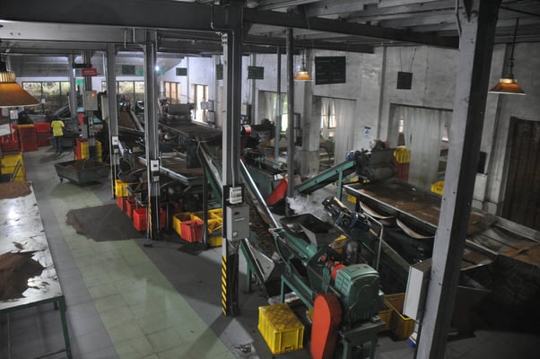 Sri Lanka, Besuch der Teefabrik Damro Tea