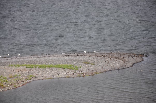 Schweden, Öland, Blick vom Leuchtturm, Lange Jan