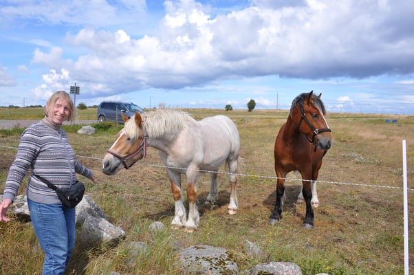 Schweden, Öland, St. Brigittas Kapelle