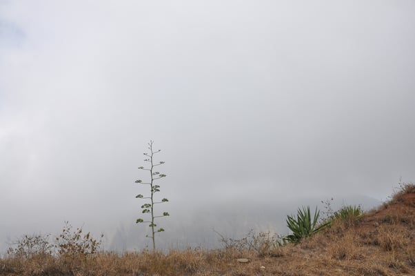 Kap Verden, Insel Santo Antao, Ponta do Sol