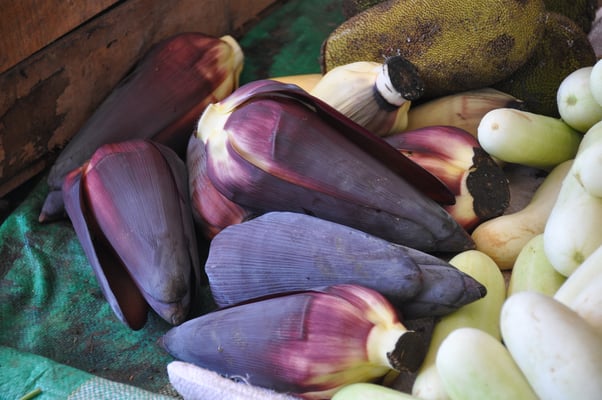 Sri Lanka, Hambantota