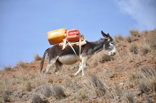 Kap Verden, Insel Santo Antao, Ponta do Sol