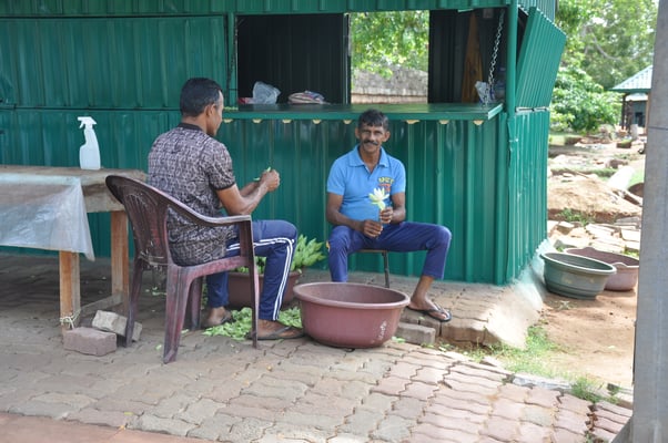 Sri Lanka: Anuradhapura, Jaya Sri Maha Boddhi