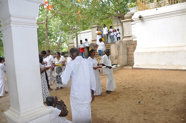 Sri Lanka: Anuradhapura, Jaya Sri Maha Boddhi
