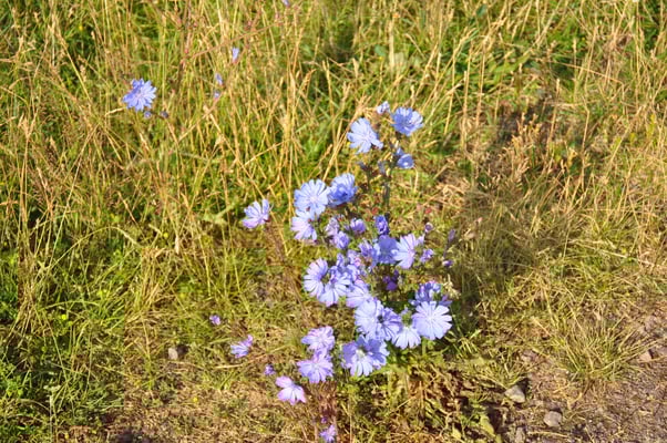 Schweden, Gränna, Campingplatz