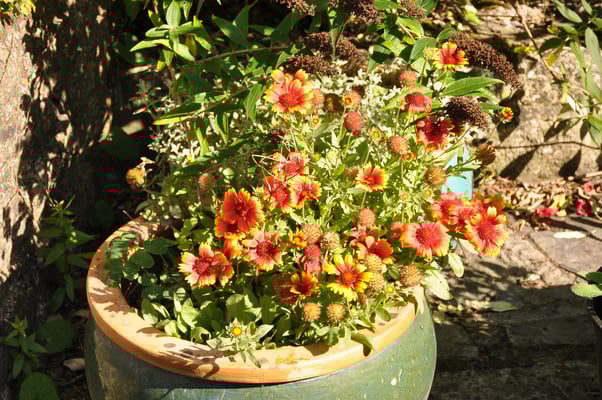 Irland, Adare mit strohgedeckten Häusern