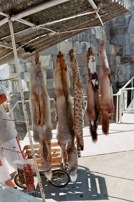 Garni, römisch-hellenistischer Tempel, Verkaufsstand für Felle