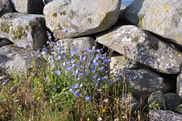 Schweden, Gränna, Campingplatz