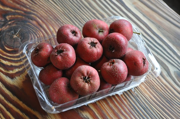 China, Wasserdorf Wuzhen, Rotdorn Frucht 