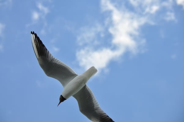 Fahrt auf dem Masurischen See Mazurski Park Krakjobrazobi