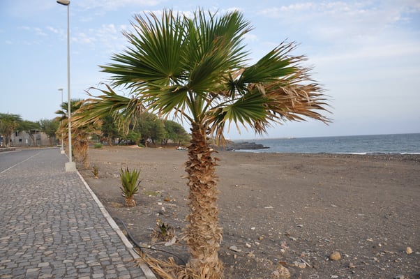Kap Verden, Insel Santo Antao
