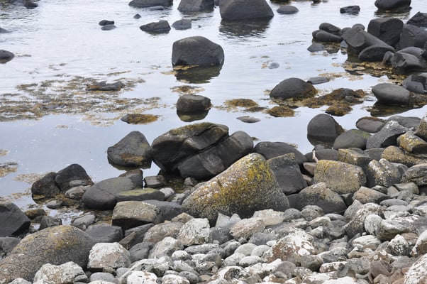 Irland, Nordirland, Giants Causeway