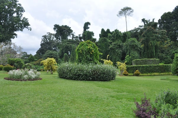 Sri Lanka, Kandy, Royal Botanic Gardens
