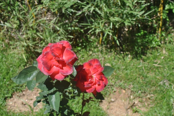 Sri Lanka, Besuch von Ekho Lake House