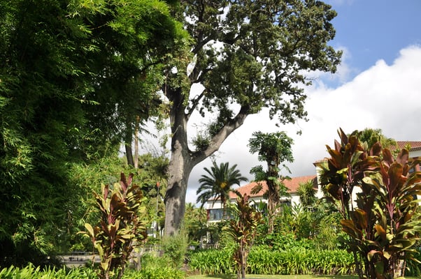 Madeira, Funchal, Villa Quitas das Cruzas, Jardins do Lago