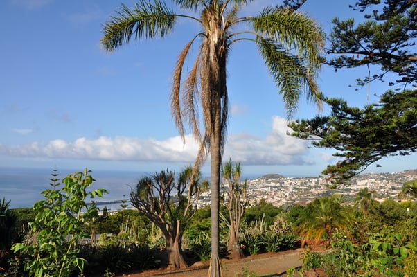 Madeira, Funchal, Botanischer Garten