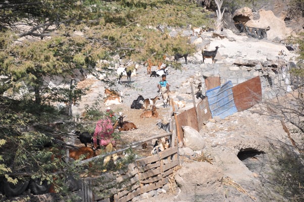 Kap Verden, Insel Santo Antao