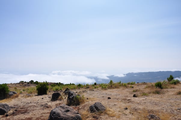 Madeira, Wanderung zum Vereda do Pico Ruivo