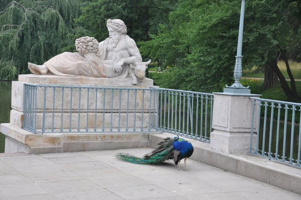 Polen: Warschau: Schloss Belvedere