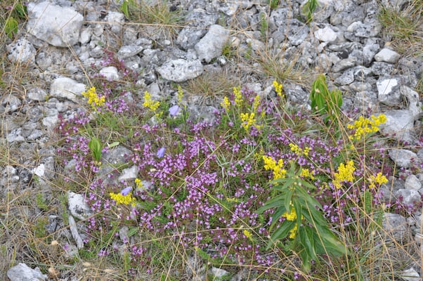 Schweden, Insel Farö, Rauk Gebiete