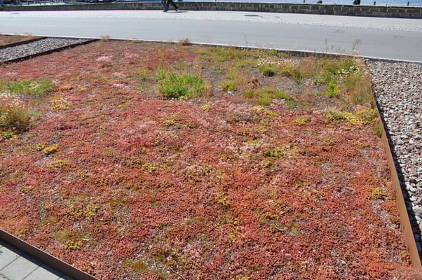 Schweden, Öland, Borgholm