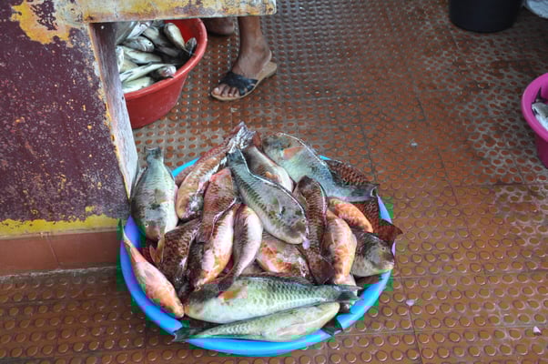 Kap Verden, Insel Sao Vicente, Stadt Mindelo