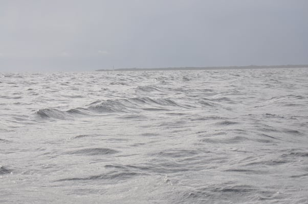 Sri Lanka, Trincomalee, Pigeon Island Resort, Ausflug zur Delphinbeobachtung