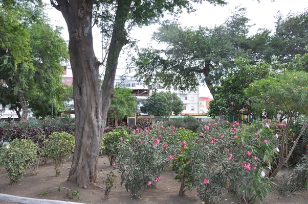 Kap Verden, Insel Sao Vicente, Stadt Mindelo