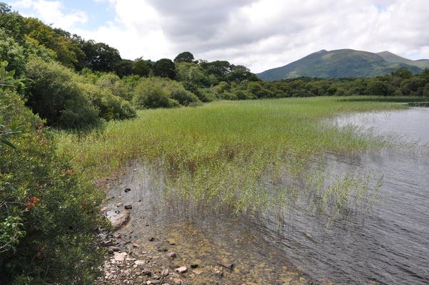 Irland, Muckross House mit Garten