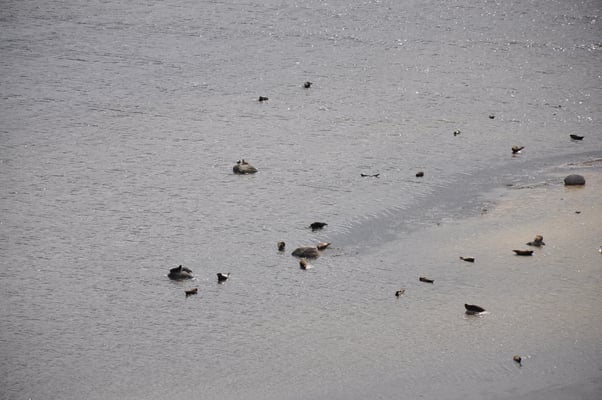 Schweden, Öland, Blick vom Leuchtturm, Lange Jan
