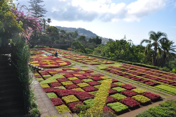 Madeira, Funchal, Botanischer Garten