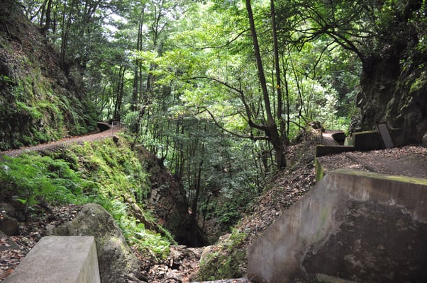 Madeira, Wanderung Levada da Reibeira da Janela