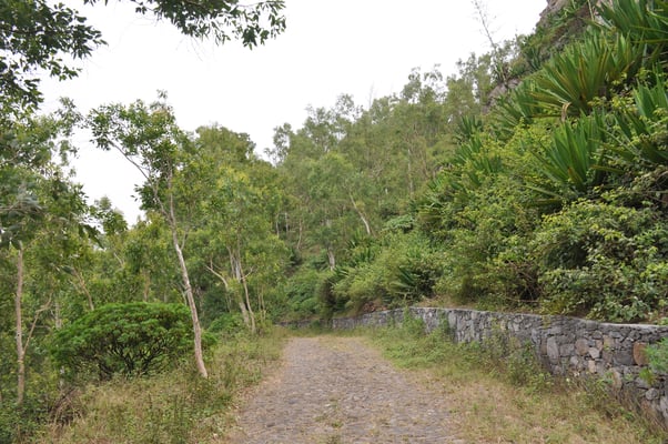Kap Verden, Insel Santiago, Nationalpark "Serra Malagueta"